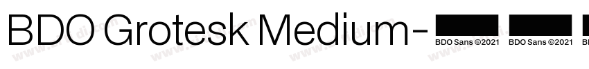 BDO Grotesk Medium字体转换